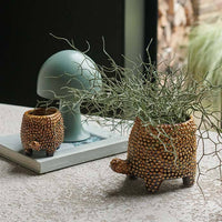 Medium Tortoise Pot