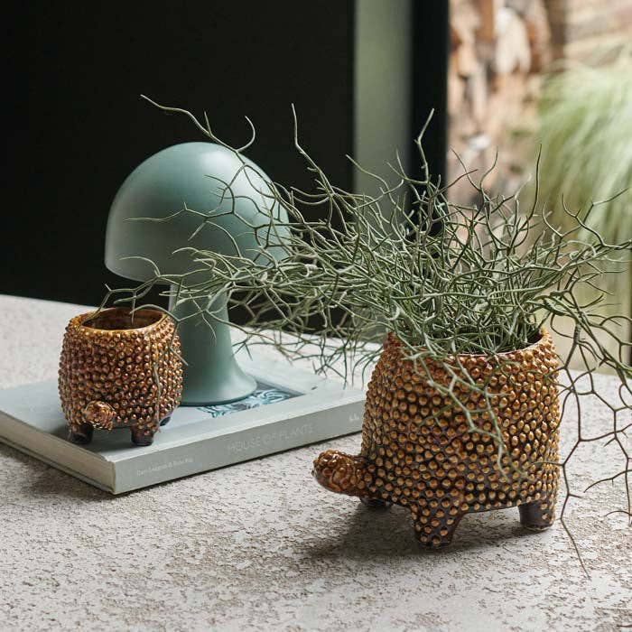 Medium Tortoise Pot