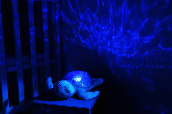 Tranquil Turtle Rechargeable Night Light