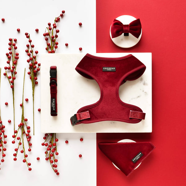 Luxe Velvet Collar - Berry Red - XS