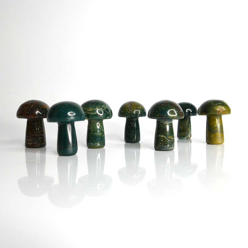 Neighbourhood Botanicals - Gua Sha Shroom Massage Tool