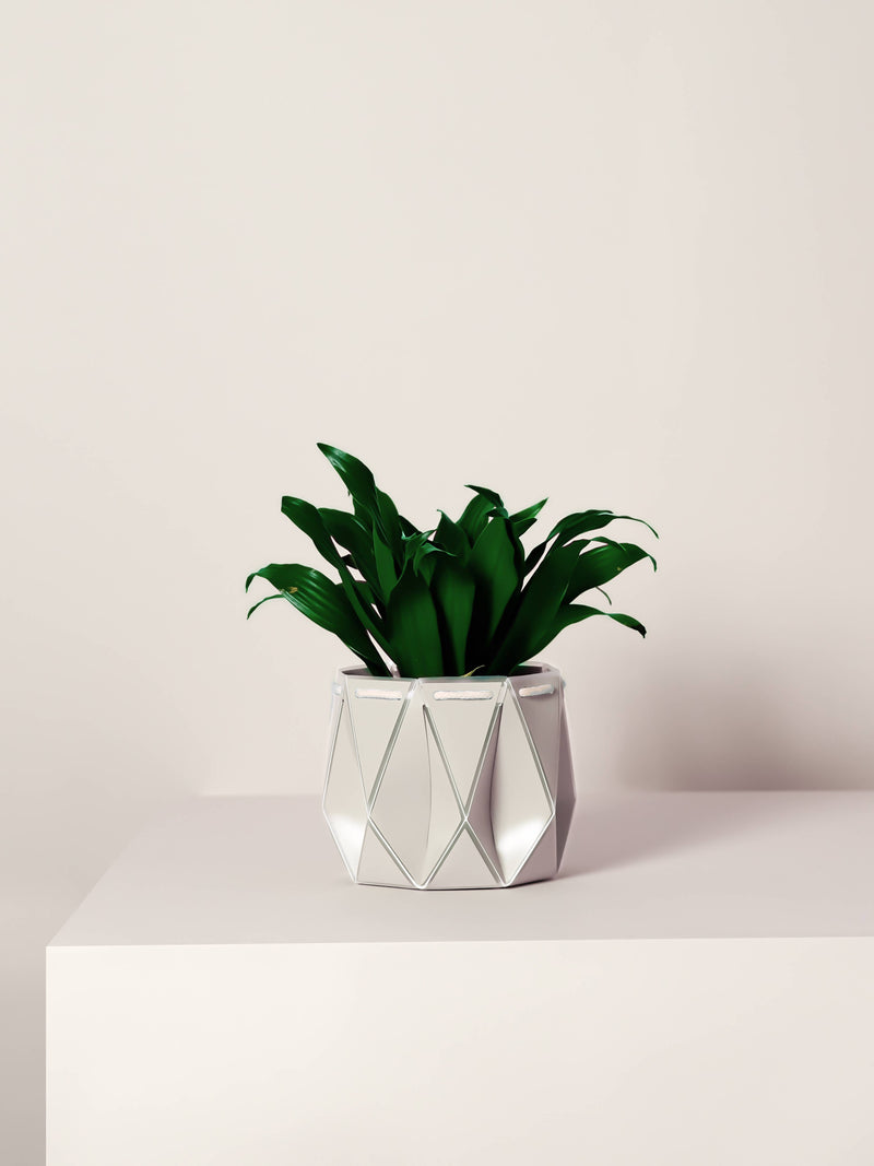 11cm Self-Watering Pot - Ivory White