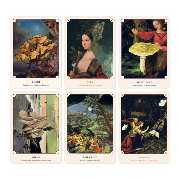 The Mushroom Oracle Card Deck and Guidebook