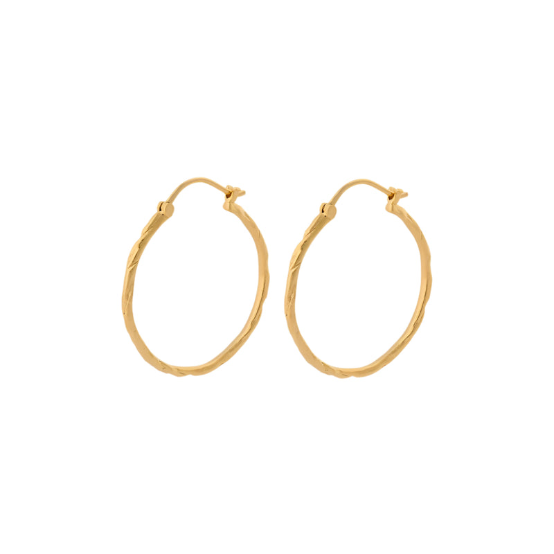 Ice Creoles Hoops - Gold Plated