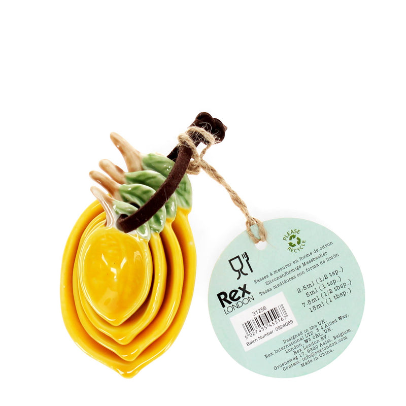 Ceramic Measuring Spoons - Lemons