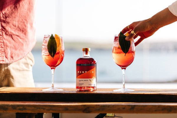 Pentire Coastal Spritz 700ml