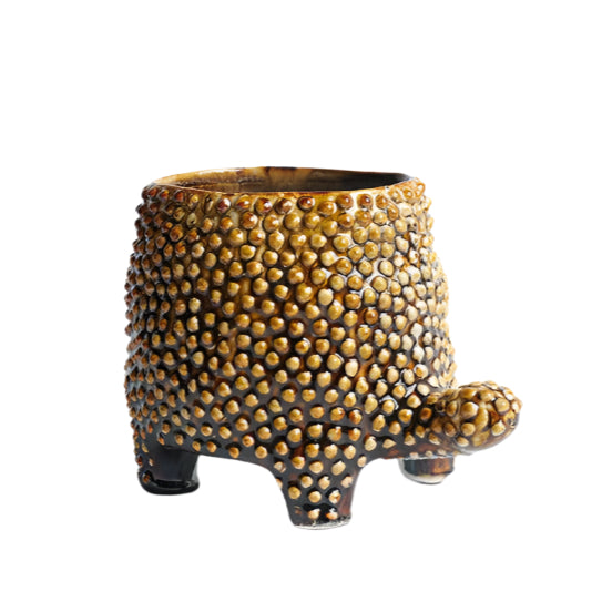 Medium Tortoise Pot