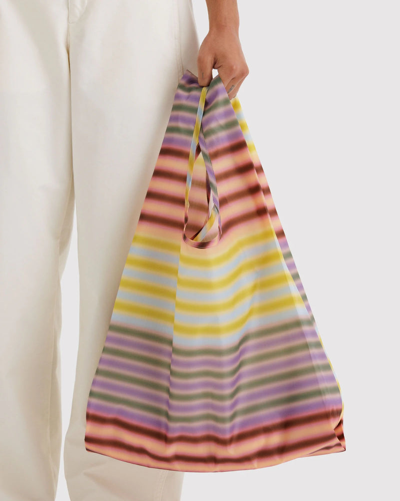Standard Baggu - Gradient Stripe Multi