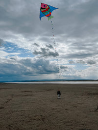 Giant Fish Kite