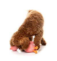 Neckole the Flamingo Dog Toy