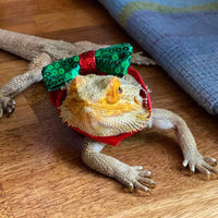 Christmas Entertainment Dog Bow Tie