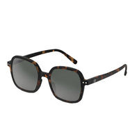 #Office Sunglasses - Tortoise