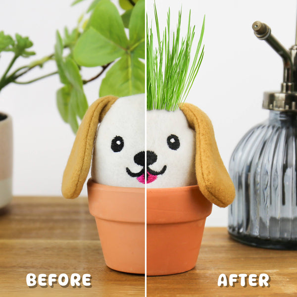 GROW PALS - DOG