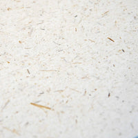 Elephant Poop Foil Printed Notebook