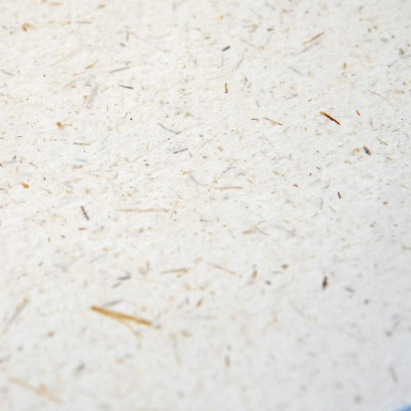 Elephant Poop Foil Printed Notebook