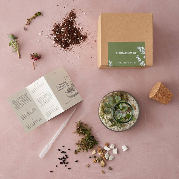 Terrarium Making Kit