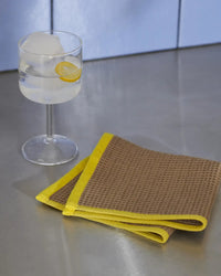Canteen Dish Cloth Set of 2 - Blue/Fuchsia -Beige/Yellow