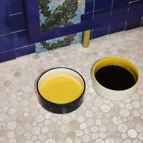 Large Dog Bowl - Yellow/Blue