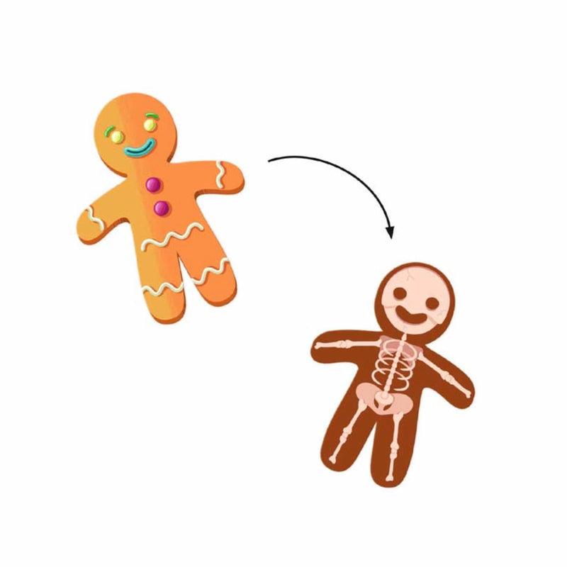 Djeco - Stickers - X-Ray