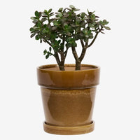 Madam Stoltz - Flowerpot with Saucer 18 x 17 cm (Mustard)