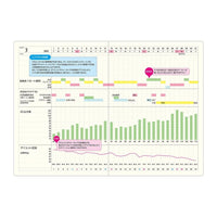 Laconic Style Notebook - Gantt Chart