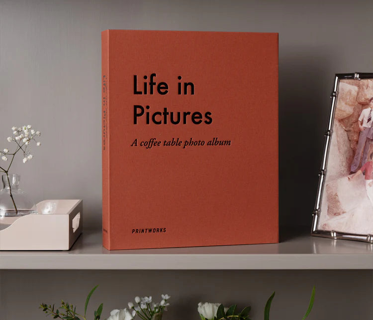 Life in Pictures - Photo Album - Orange