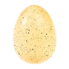 Rex - Dinosaur Hatching Egg