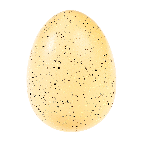 Rex - Dinosaur Hatching Egg