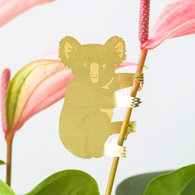 Plant Animal Houseplant Decoration - Koala