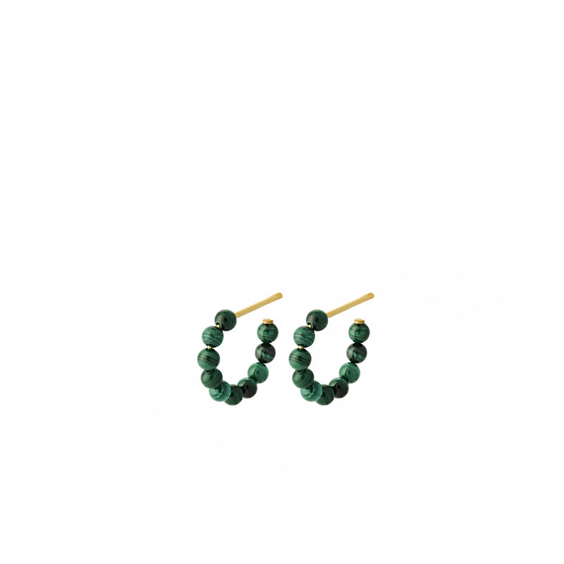 Forrest Hoops - Gold Plated