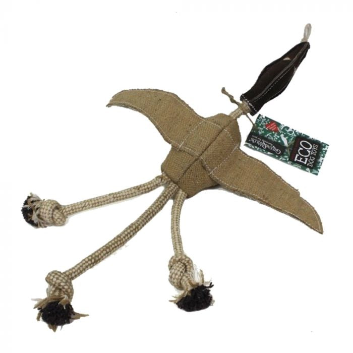 Eco Toy - Desmond the Duck