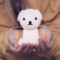 Bundle of Light - Snuffy