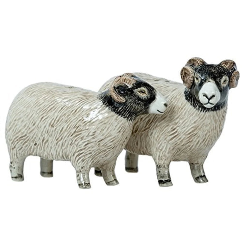 Swaledale Sheep Salt and Pepper