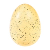 Rex - Fairy Hatching Egg