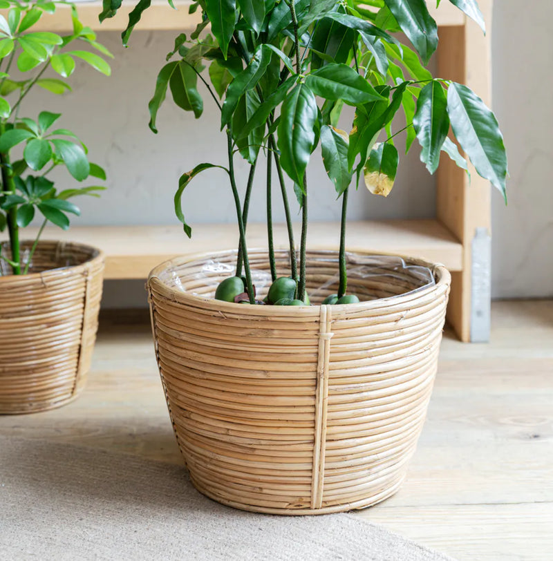 Garden Trading - Mayfield Plant Pot 28cm Rattan