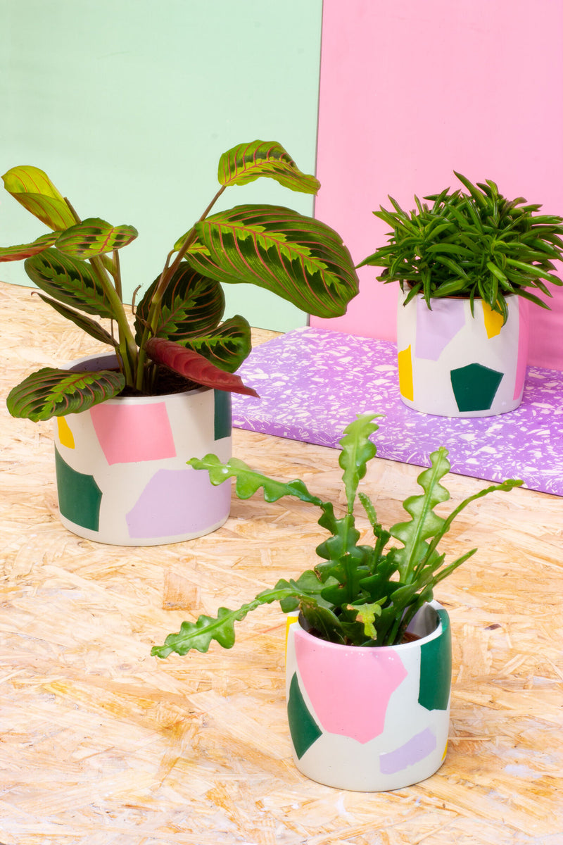 Salt Studios - Chunky Chip Plant Pot