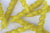 MÆGEN - MÆGEN Single Spiral Taper Candle - Individual - Yellow