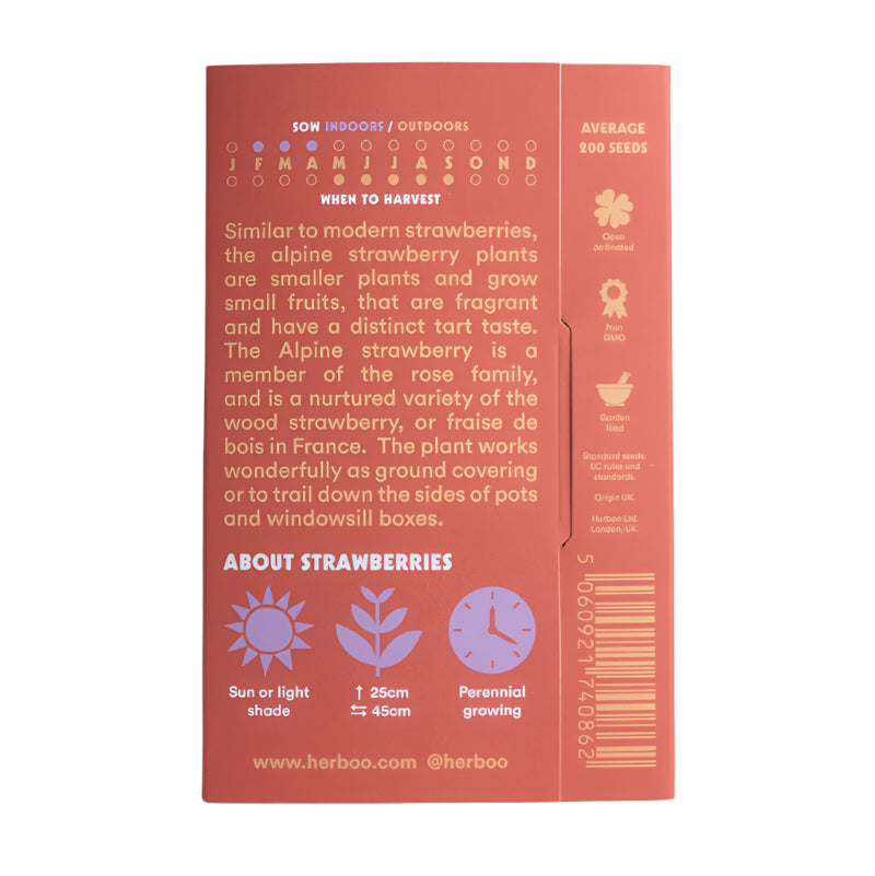 Strawberry ‘Alexandria’ Seeds