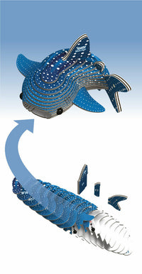 EUGY - Whale Shark
