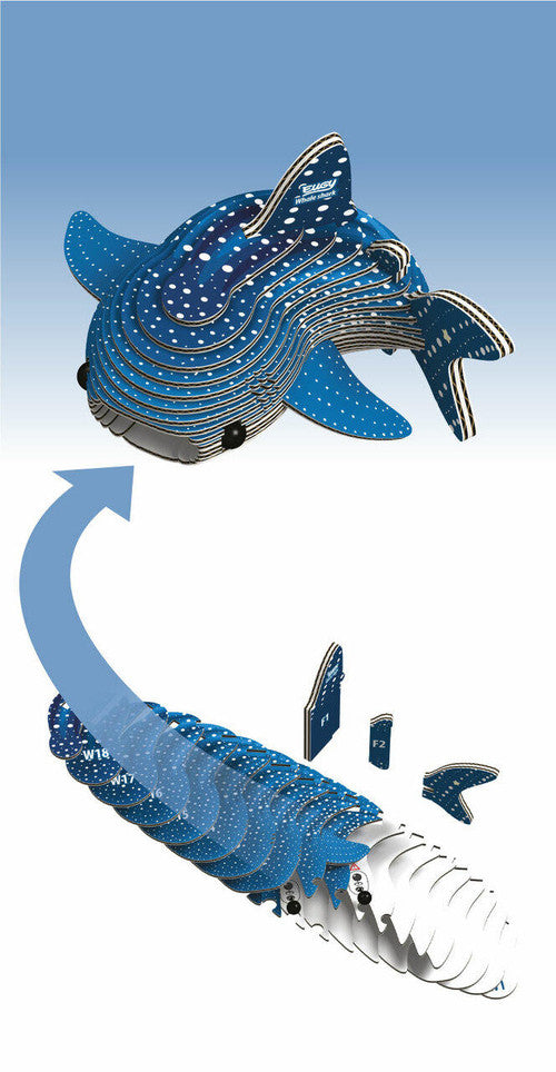 EUGY - Whale Shark