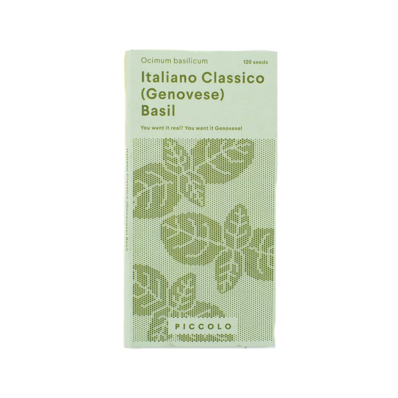 Piccolo- Italiano Classico Basil 120 seeds (Genovese)