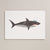 Petra Boase - Risograph Print - Shark