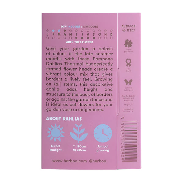 Dahlia ‘Pompone Mixed’ Seeds