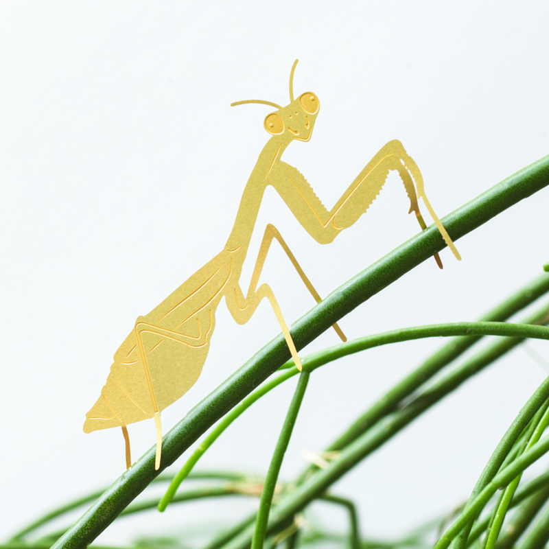 Plant Animal Houseplant Decoration - Praying Mantis