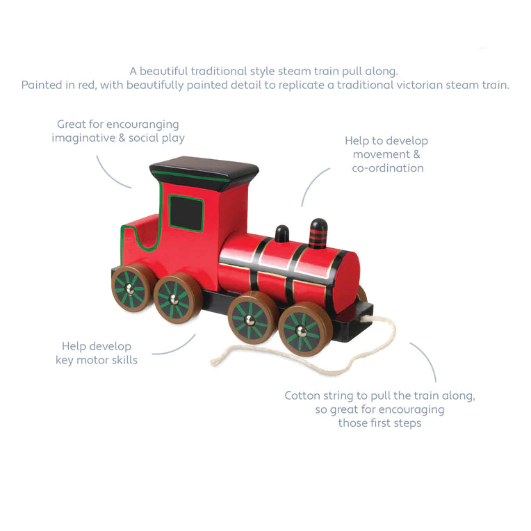 Orange Tree Toys - Pull Along Steam Train