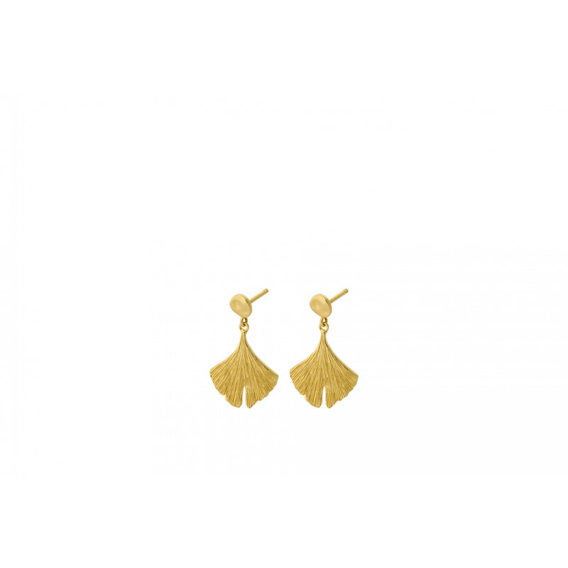 Biloba Earrings - Gold Plated