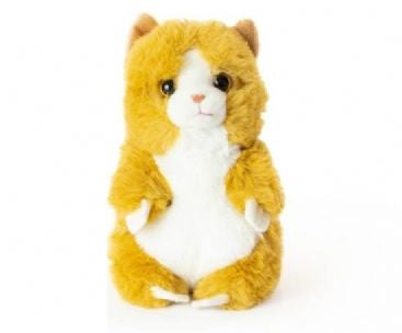 Living Nature - Baby Ginger Kitten