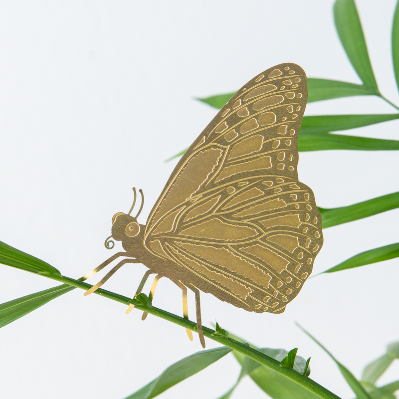 Animal Houseplant Decoration - Butterfly