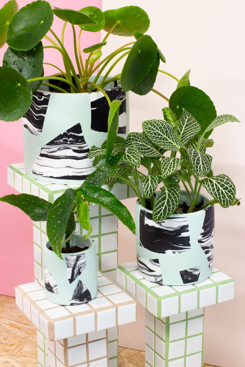 Salt Studios - Mint & Black Marble Chip Plant Pot