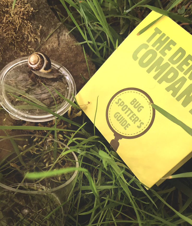 The Den Kit Company - The Bug Spotter Kit